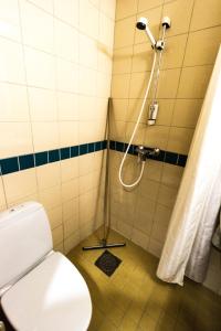 斯塔万格苏伯格福克胡斯克旅馆的浴室配有淋浴和卫生间。