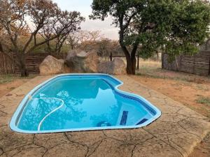 KareefonteinMoletani Game Ranch的庭院中间的一个蓝色游泳池