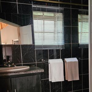 比勒陀利亚Grobler's Haven Self catering cottage的浴室设有黑色瓷砖墙壁、水槽和毛巾。
