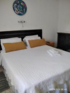 里奥塞瓦约斯Luciana G的一间卧室配有一张带白色床单的床和墙上的时钟。