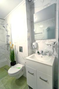 布加勒斯特SIR FUNDENI HOTEL的白色的浴室设有水槽和卫生间。