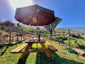 拉奥罗塔瓦Finca Oscar Burchard的山丘上带雨伞的野餐桌