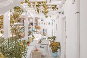格拉斯托斯Dibellee Mykonos boutique studios的白色的门廊,配有白色的椅子和植物