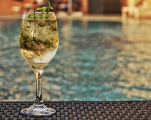 弗里敦The Country Lodge Hotel的一杯酒杯,在游泳池旁边放上植物