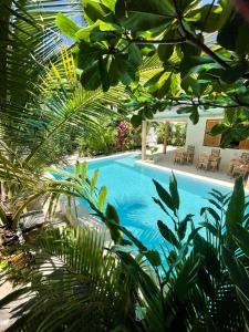 帕杰Nakupenda paje villa的被树木和植物环绕的游泳池