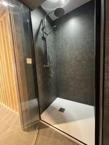 格拉纳达Elegante piso reformado a 1km del centro的浴室里设有玻璃门淋浴