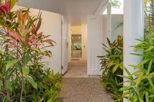 道格拉斯港Tropical Resort-style Living on Mirage Golf Course的走廊上,有植物