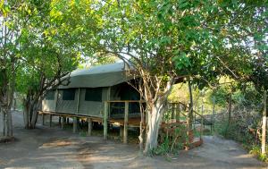 KhwaiCandies Vacation Cottage Khwai的绿树成荫的帐篷