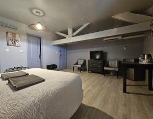 Rochefort-en-Valdaine摇滚乐旅馆的一间卧室配有一张床、一张书桌和一台电视