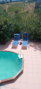 Vaglio SerraA casa di Anna的两把躺椅和一个位于庭院的游泳池
