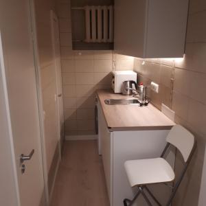 维尔纽斯Mini apart Žvėrynas的一间带水槽和卫生间的小厨房