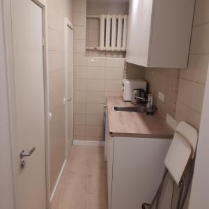 维尔纽斯Mini apart Žvėrynas的小厨房配有白色橱柜和水槽
