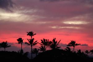 科洛阿Kiahuna Plantation 96, Poipu Beach, Athletic Club Membership, Part Ocean View的一片棕榈树的日落