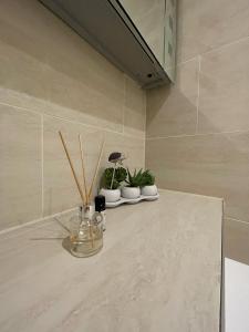 伦敦Central Point apartment的浴室里一个有三株盆栽植物的柜台