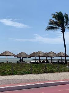 塞拉JacaraipeTop的棕榈树和一排遮阳伞的海滩