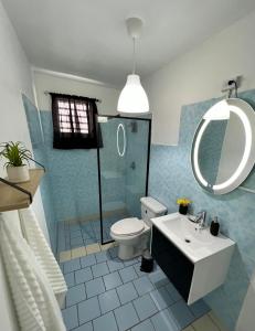 阿雷西博Villa Alborada的一间带卫生间、水槽和镜子的浴室