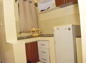 ThikaFully furnished One bedroom bnb in Thika Town.的带冰箱和窗户的小厨房