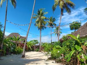 江比阿Furaha Lodge的海滩上一条穿过棕榈树的路径