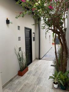 萨尔塔OSTATUA ETXEA的走廊上设有黑色的门和一棵树