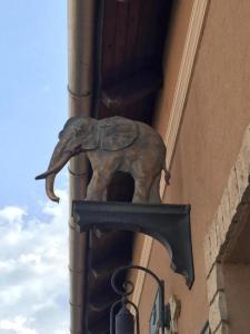艾斯特根Arany Elefánt szálláshely的建筑一侧的大象雕像