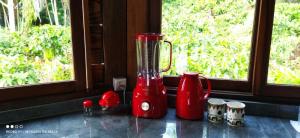Nilo PeçanhaMoradia da Mata的窗边的柜台上的一个红色搅拌机