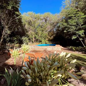 拉库布蕾Cabañas Lomita San Luis的花园内设有一个游泳池,