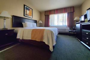 安纳海姆阿纳海姆公园品质酒店套房的一间设有大床和窗户的酒店客房