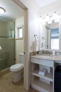 巴港美景旅馆的一间带水槽、卫生间和淋浴的浴室