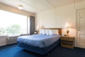 巴港美景旅馆的酒店客房设有一张床和一个大窗户