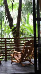 马尔多纳多港Kapievi Ecovillage的树廊上的摇椅