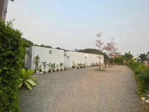 清迈65 hostel chiangmai的院子里植物繁多的建筑