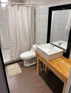 圣佩德罗拉拉古纳Habitacion privada Lamat I的浴室配有白色水槽和卫生间。