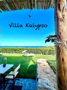 切尔沃港Villa Kalypso - Porto Cervo的庭院内的景色。