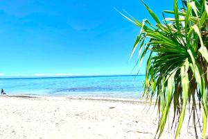 PaeaTropical paradise luxury的白色沙滩上的棕榈树