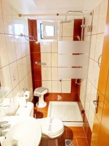 奥马斯帕纳吉亚斯Nikos Apartments的一间带卫生间和水槽的小浴室