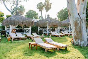 费特希耶俱乐部图阿娜费特希耶全包酒店的一群在草地上的躺椅和遮阳伞
