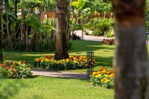 费特希耶俱乐部图阿娜费特希耶全包酒店的花丛和树丛的公园