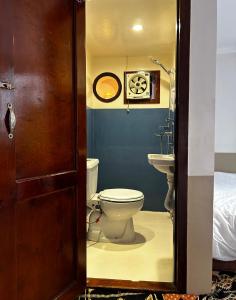Nag` el-RamlaHouseboat Hotel and Nile Cruises Zainoba的一间带卫生间和水槽的浴室