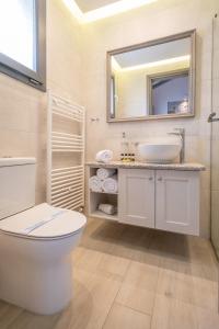 米里纳AMYGDALIES STONE APARTMENTS的一间带卫生间、水槽和镜子的浴室