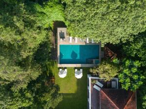 康提Taru Villas Kandy的享有树木繁茂的公园游泳池的顶部景色