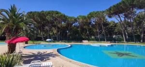 巴亚多米吉亚SMALL CAMP Baia Domizia KR VIP Full Service的一个带红色遮阳伞和椅子的大型游泳池