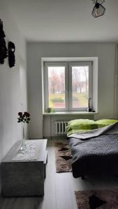 热舒夫Apartament nad fontanną的一间卧室设有两张床和窗户。