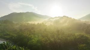 董里Kachonghills Tented Resort Trang的一片树木和山脉的阴暗山谷