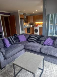 邓加文360 Dun Aoibhinn的客厅配有带紫色枕头的沙发