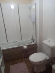 邓加文360 Dun Aoibhinn的一间带卫生间和浴缸的浴室