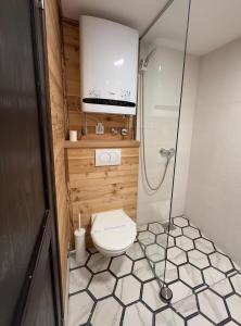 SopotOzoni & Sauna的一间带卫生间和淋浴的小浴室