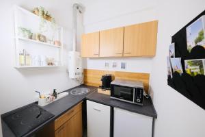 汉诺威Modernes Studio-Apartment zentral gelegen的一间带水槽和微波炉的小厨房