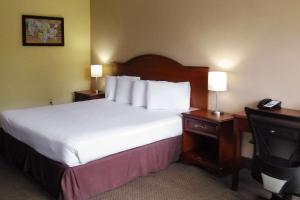 奥蒙德海滩奥蒙德海滩伊克诺旅馆的酒店客房,配有床和电视