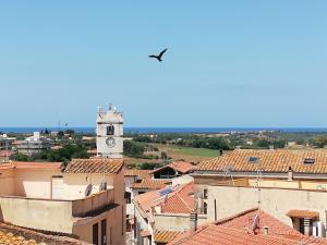 蒙塔尔托迪卡斯特罗Camera Torre Panoramic的鸟飞过一个钟楼城市