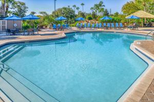 基西米Hilton Vacation Club Polynesian Isles Kissimmee的一个带蓝色椅子和遮阳伞的大型游泳池